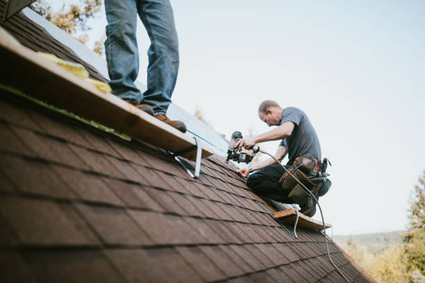 Quick and Trustworthy Emergency Roof Repair Services in Louisville, KY